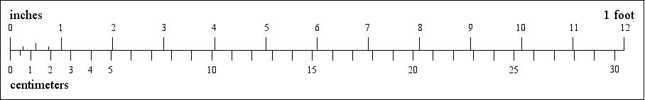 [a bar chart comparing imperial and metric dimensions]