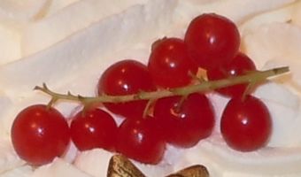 [red currants]