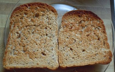 [toast (roasted bread)]