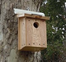 [birdhouse]