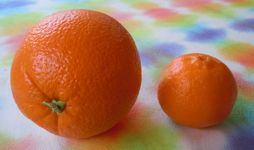 [orange and tangerine]