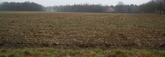 [farmland, agriculture field]