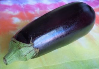 [eggplant]