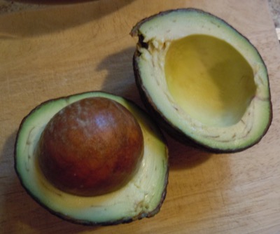 [avocado with very large stone
