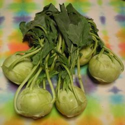 [kohlrabi]