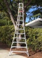 [ladder]