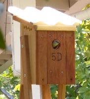 [birdhouse with bird]