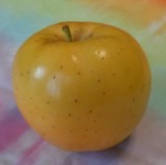[one apple]