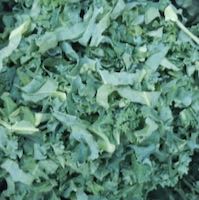 [shredded kale]