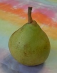 [one pear]