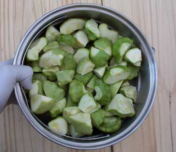 [Green Patty Pan Squash, cut and in a steaming basket]