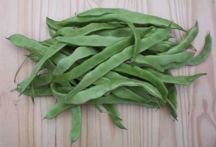 [Italian Beans, Stringbeans, Romano Beans]