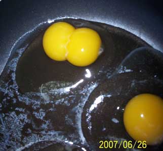 [twin eggs, two yolks in one egg]