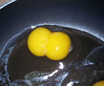 [twin eggs]