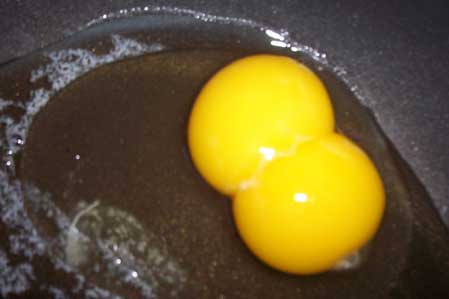 [twin eggs, double yolk]