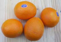 [orange oranges]