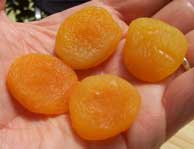 [a handful of dried apricots]