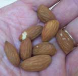 [almonds]