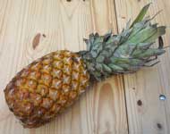 [pineapple]