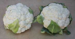 [cauliflowers]