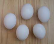 [eggs]
