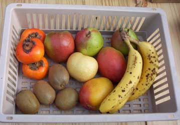 [a basket of fruits]