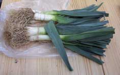 [leeks]