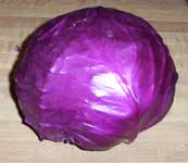 [red cabbage]