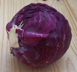 [red cabbage]