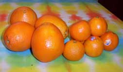 [oranges and tangerines]