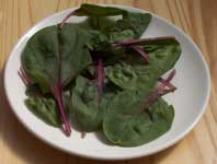 [a few red-stemmed spinach leaves on a small plate]