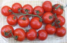 [tomatoes]