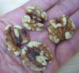 [walnuts]