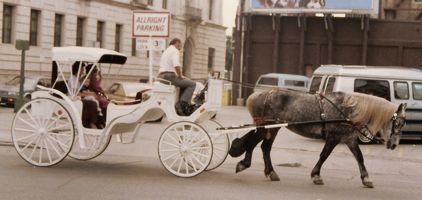 [horse carriage]