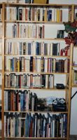 [a bookcase]