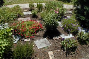 ['small garden,' flowerbed]