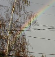 [a rainbow]