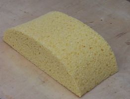[a sponge]