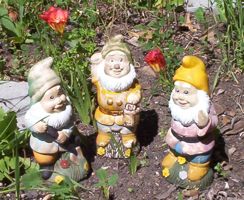 [garden gnomes]