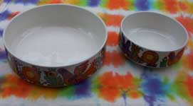 [a bowl and a small bowl]