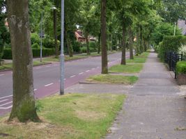 [street and sidewalk]