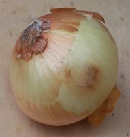 [onion]